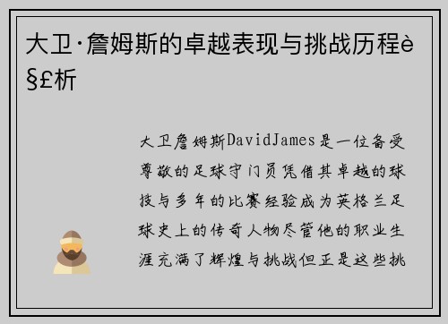 大卫·詹姆斯的卓越表现与挑战历程解析