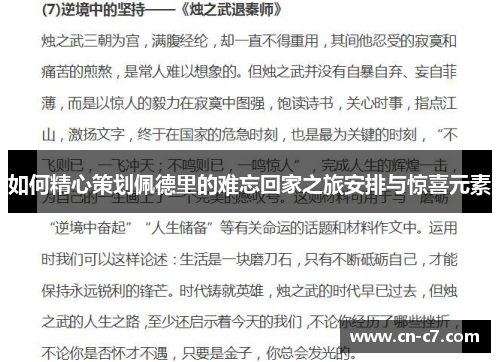 如何精心策划佩德里的难忘回家之旅安排与惊喜元素
