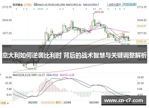 意大利如何逆袭比利时 背后的战术智慧与关键调整解析