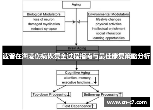 波普在海港伤病恢复全过程指南与最佳康复策略分析