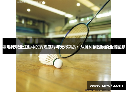 羽毛球职业生涯中的辉煌巅峰与无尽挑战：从胜利到困境的全景回顾