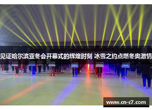 见证哈尔滨亚冬会开幕式的辉煌时刻 冰雪之约点燃冬奥激情